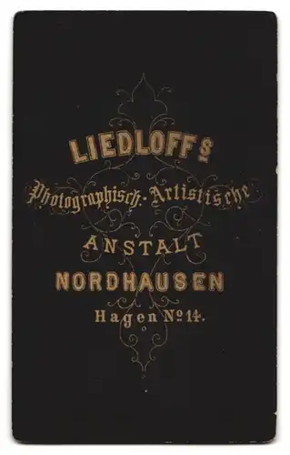 Fotografie Liedloff, Nordhausen, Hagen Nr. 14, Frau in tailliertem Kleid mit Halsbrosche