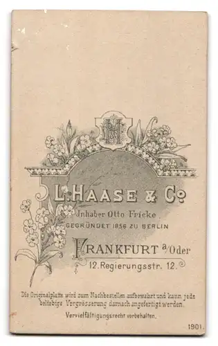 Fotografie L. Haase & Co., Frankfurt a. O., Regierungsstr. 12, Portrait einer jungen Frau