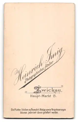 Fotografie Heinrich Imig, Zwickau, Haupt-Markt 15, elegante bürgerliche Frau