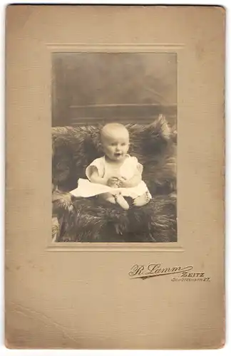 Fotografie R. Lamm, Zeitz, Schützenstr. 27, Süsses Kleinkind im Kleid sitzt auf einem Fell