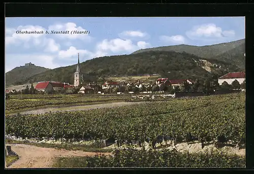 AK Oberhambach b. Neustadt /Haardt, Blick auf die Ortschaft