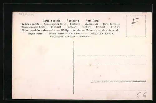 AK Bitsch, Truppen-Übungsplatz 1906