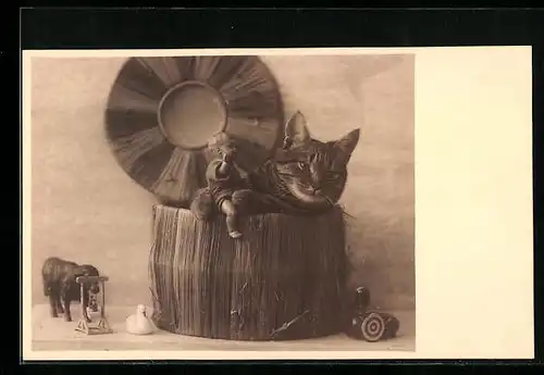 AK Kater mit Mini-Knabe zwischen den Pfoten, Mini-Hund