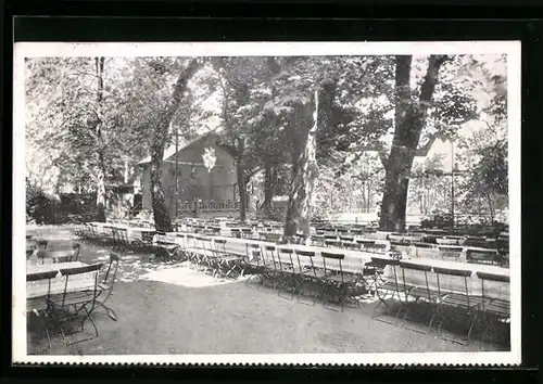 AK Offenbach a. M., Restaurant Stadtgarten, Gartenterrasse