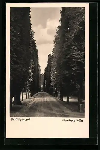 AK Bad Pyrmont, Bomberg-Allee