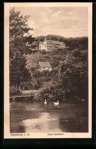 AK Ilsenburg i. H., Hotel Waldhöhe
