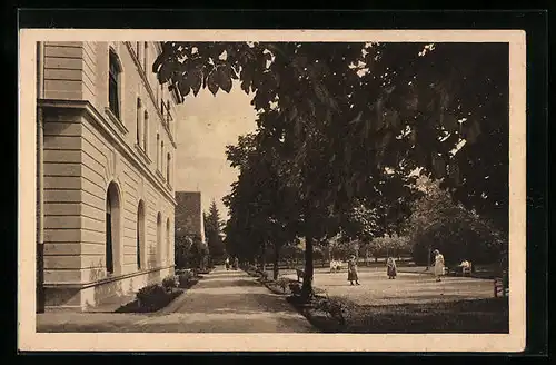 AK Schonstett, Sanatorium, Auffahrts-Allee