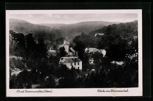 AK Bad Freienwalde, Blick ins Brunnental