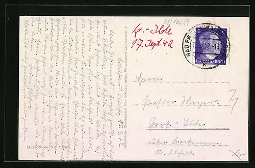 AK Bad Freienwalde, Blick ins Brunnental