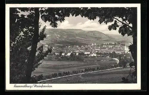 AK Hammelburg /Mainfranken, Ortsansicht aus der Vogelschau