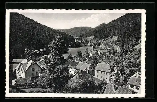 AK Schwarzwald-Stutzhaus /Thür., Blick vom Turmberg