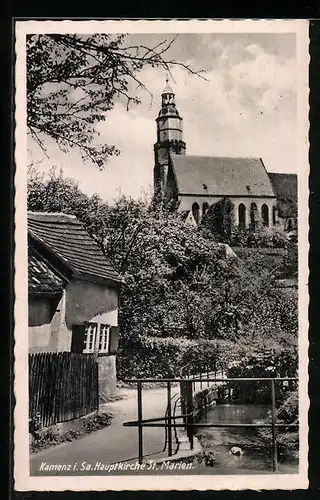 AK Kamenz /Sa., Hauptkirche St. Marien