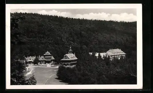 AK Pustewny am Radhoscht, Ortspartie mit Wald