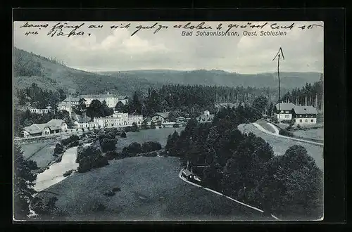 AK Bad Johannisbrunn /Oest. Schlesien, Ortsansicht mit Wald