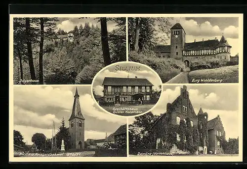 AK Sillium, Jägerhaus, Burg Wohldenberg, Domäne (Herrenhaus), Kirche u. Kriegerdenkmal, Geschäftshaus Gustav Hoppmann