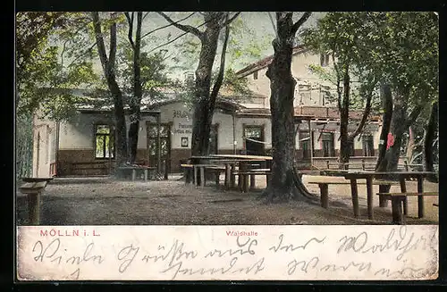 AK Mölln i. L., Gasthaus zur Waldhalle