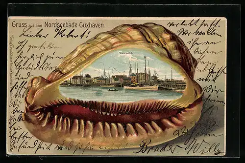 Passepartout-Lithographie Cuxhaven, Partie am Hafen, Ansicht auf Muschel