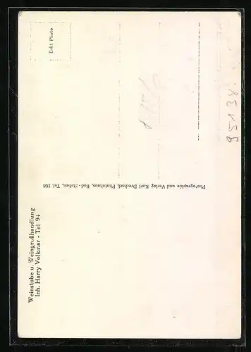 AK Bad Steben /Bay. Ostmark, Gasthaus und Weingrosshandlung Böhm.-Volkmar