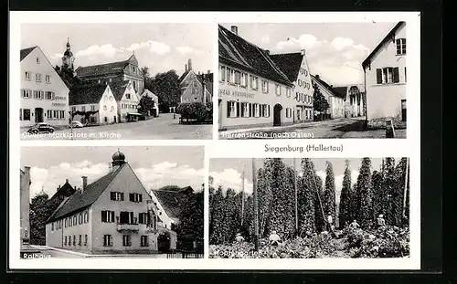 AK Siegenburg / Hallertau, Hopfenanbau, Oberer Marktplatz mit Kirche, Rathaus, Herrenstrasse