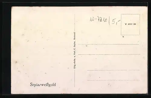 AK Rottweil a. N., Gesamtansicht