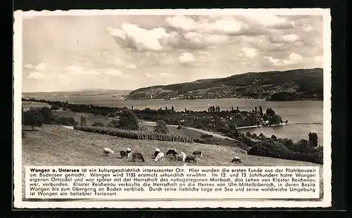 AK Wangen a. Untersee, Ortsansicht aus der Vogelschau