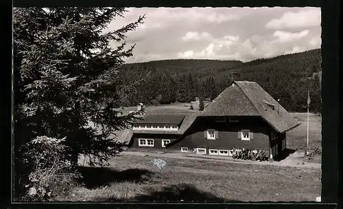 AK Schönwald / Schwarzwald, Naturfreundehaus Küferhäusle