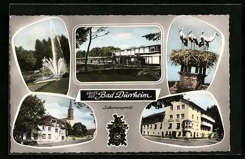 AK Bad Dürrheim, Hotel-Pension Hug, Strassenpartie mit Kirche, Parkanlage mit Fontäne, Störche im Nest