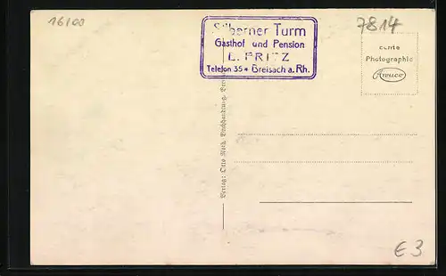 AK Breisach, Panorama, Rheinseite