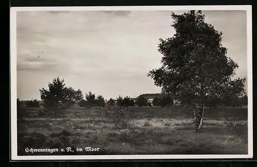 AK Schwenningen a. N., Partie im Moor