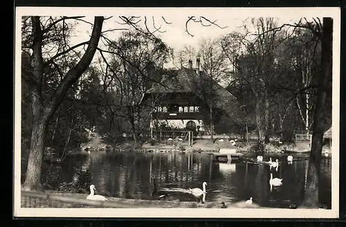 AK Karlsruhe, Schwarzwaldhaus und Schwanensee