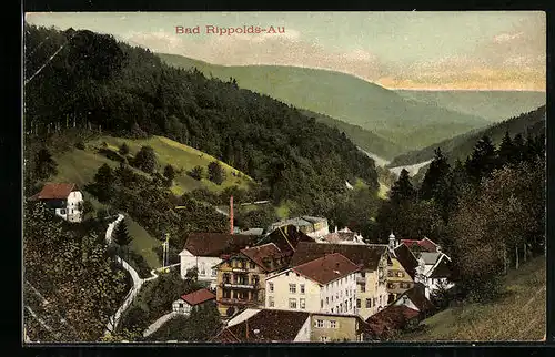 AK Bad Rippoldsau, Ortsansicht aus der Vogelschau