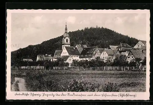 AK Pegnitz / Fränk. Schweiz, Ortsansicht mit Kirche