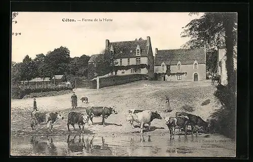 AK Céton, Ferme de la Motte