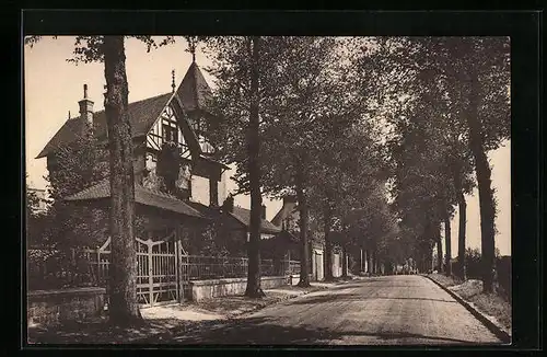 AK Le Mesle-sur-Sarthe, Villa Normande et route de Paris-Brest