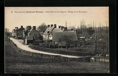 AK Saint-Pierre-du-Regard, Village de la Brisetière, Vue Générale