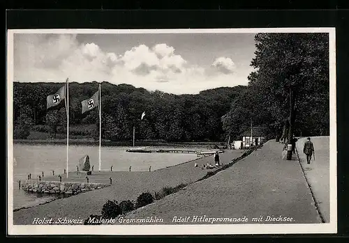 AK Malente-Gremsmühlen, promenade mit Diecksee, kreuzfahne