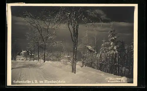 AK Kottenheide i. V., Ortspartie im Mondenschein, Winter