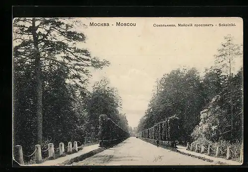 AK Moscou, Sokolniki