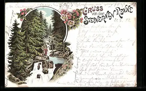 Lithographie Wernigerode, Steinerne Renne, Flusspartie