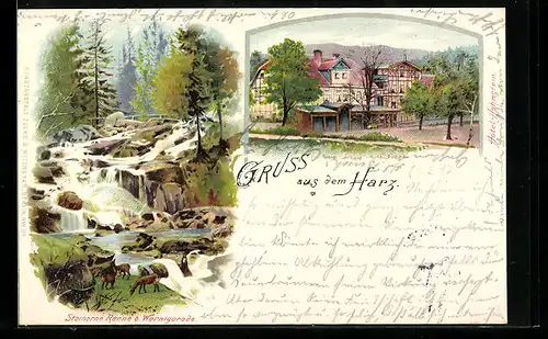 Lithographie Wernigerode /Harz, Steinerne Renne, Hotel-Hohnstein