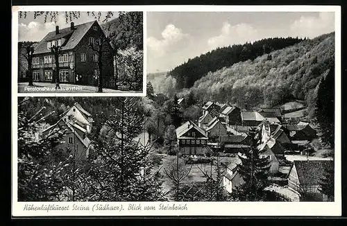 AK Steina /Südharz, Pensionshaus Lauenstein, Blick vom Steinbruch
