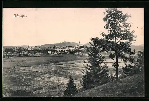 AK Schongau, Panoramaansicht über die Felder auf die Stadt