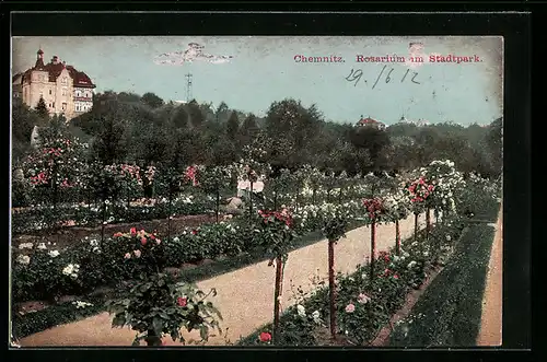 AK Chemnitz, Rosarium im Stadtpark