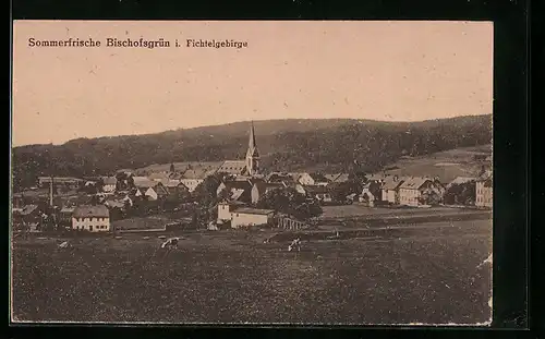 AK Bischofsgrün im Fichtelgebirge, Generalansicht, Blick zur Kirche