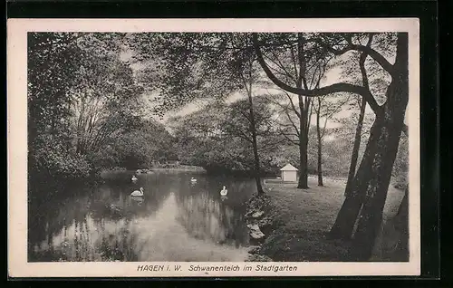 AK Hagen i. W., Schwanenteich im Stadtgarten