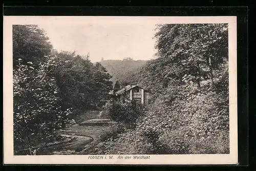 AK Hagen i. W., Partie an der Waldlust