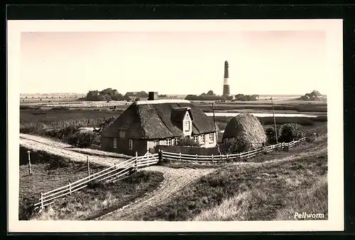AK Pellworm, Bauernhaus mit Blick zum Leuchtturm