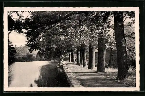 AK Gevelsberg i. Westf., Blick in die Seufzerallee