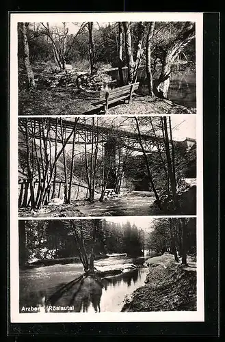 AK Arzberg, idyllisches Röslautal