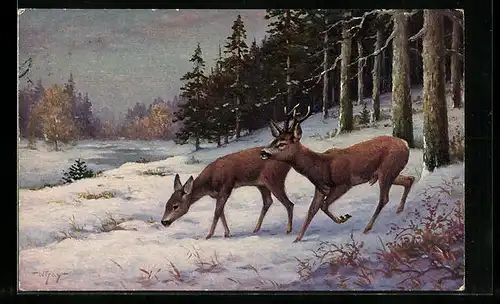 Ölgemälde-Imitations-AK Degi Nr. 1284: W. Hoy, Äsende Rehe im Schnee am Waldrand